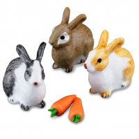 3 Rabbits & Carrots
